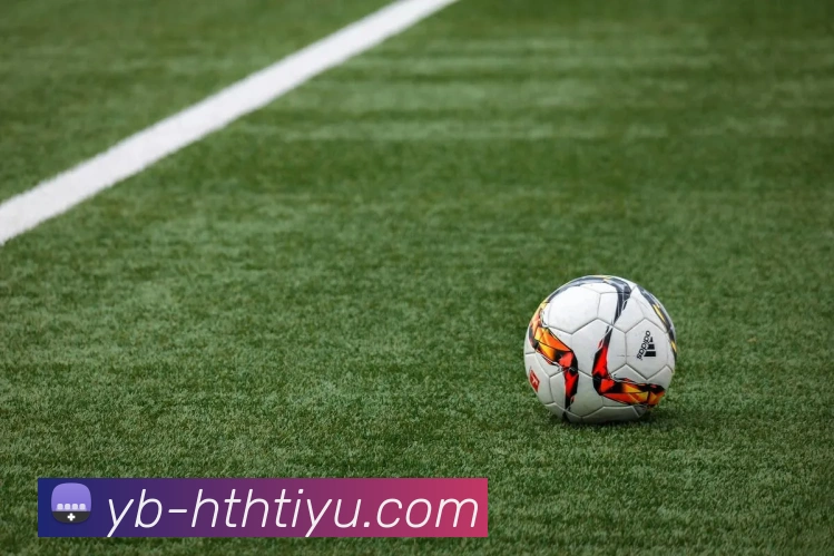 华体会体育服务体系